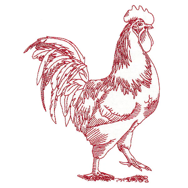 Barnyard Etchings - Rooster - Image 4