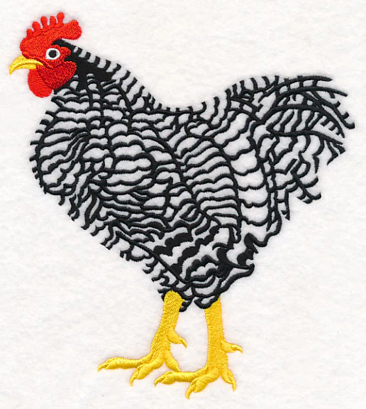 Barred Plymouth Rock Rooster - Image 4