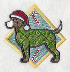 Beagle - Argyle - Image 3