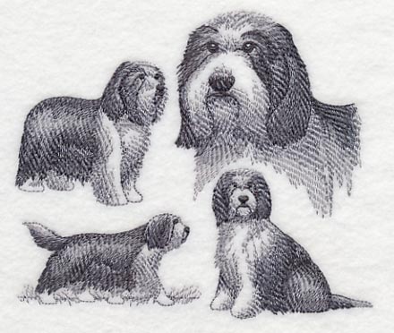 Bearded Collie Sketch - Image 3