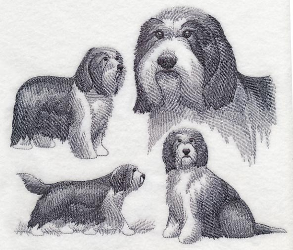 Bearded Collie Sketch - Image 4