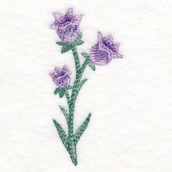 Beautiful Bellflower in Watercolor - Image 3