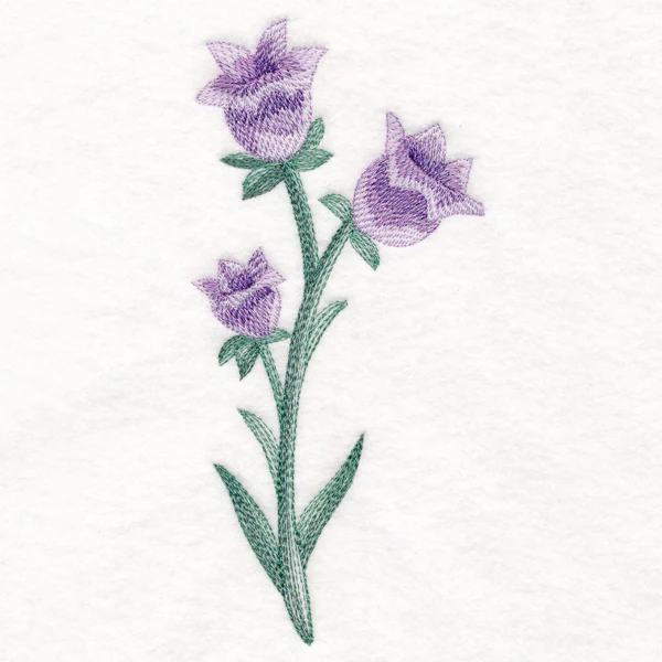 Beautiful Bellflower in Watercolor - Image 4