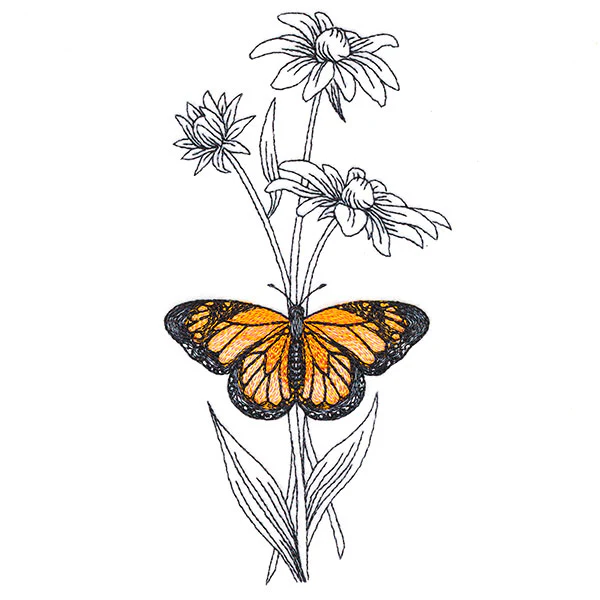 Beautiful Black-Eyed Susan and Monarch - Image 4