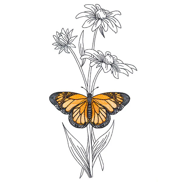 Beautiful Black-Eyed Susan and Monarch - Image 5