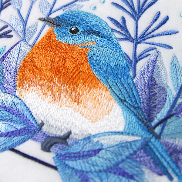 Beautiful Winter Bluebird - Image 3