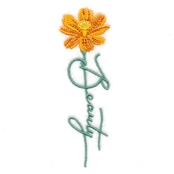 Beauty Bloom Daffodil - Image 5
