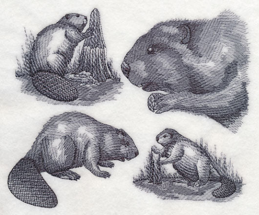Beaver Sketch - Image 2
