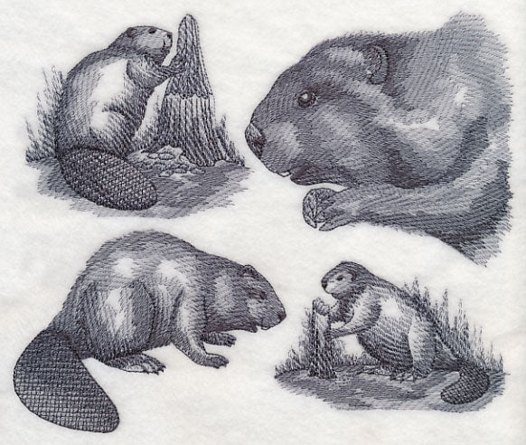 Beaver Sketch - Image 4