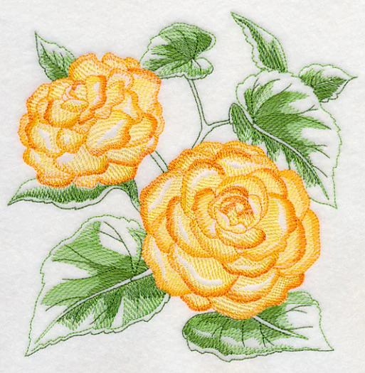 Begonia Sketch - Image 3