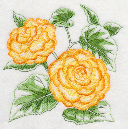 Begonia Sketch - Image 5