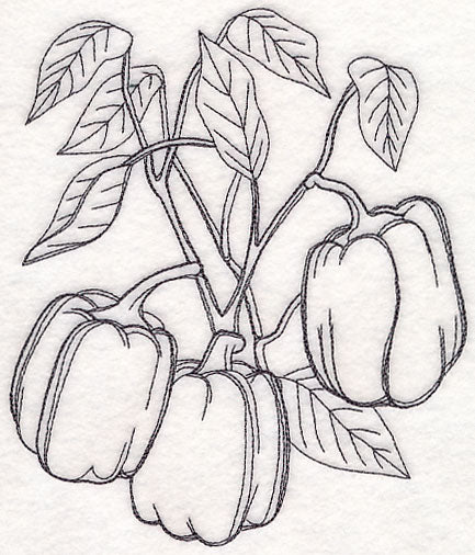 Bell Pepper Etching - Image 2