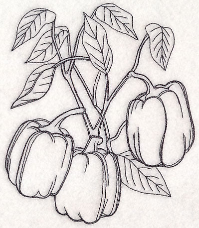 Bell Pepper Etching - Image 3