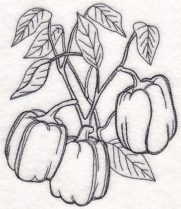 Bell Pepper Etching - Image 4
