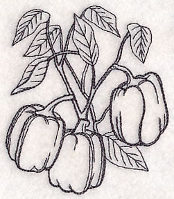 Bell Pepper Etching - Image 5