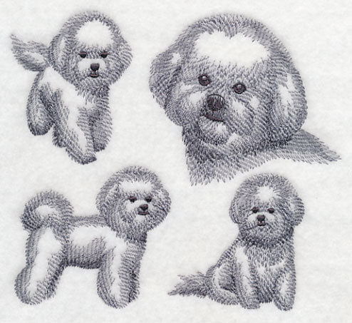 Bichon Frise Sketch - Image 2