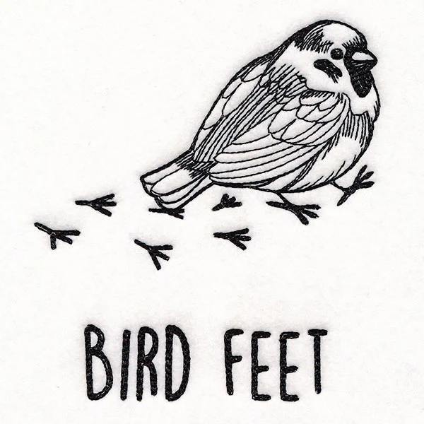 Bird Feet Chickadee - Image 5