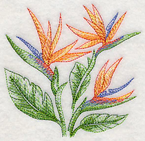 Bird of Paradise Sketch - Image 5