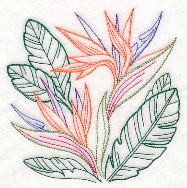 Bird of Paradise Square (Vintage) - Image 4