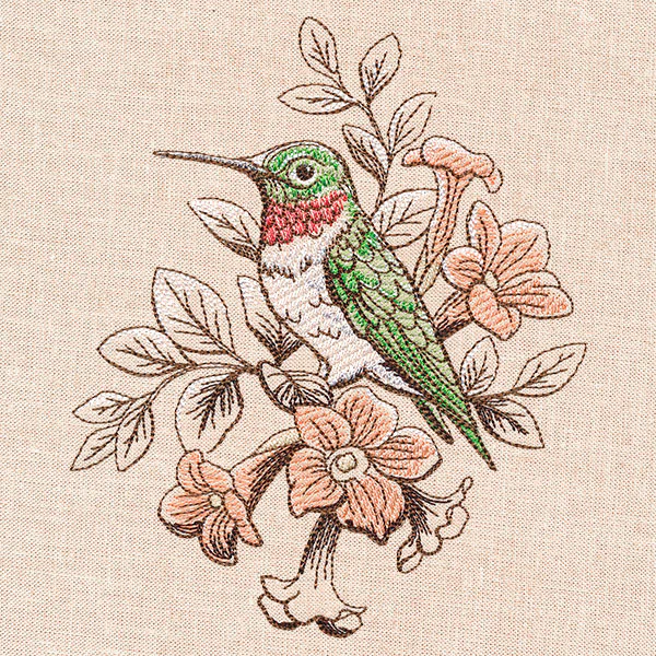 Birds and Blooms - Hummingbird - Image 3