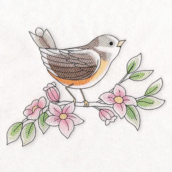 Birds & Blooms - American Robin - Image 5