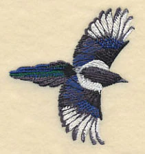 Black-Billed Magpie In Flight - Image 2