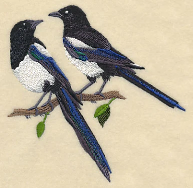 Black-Billed Magpie Pair - Image 3