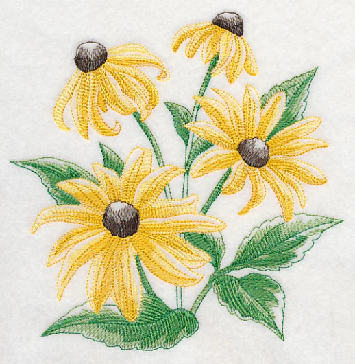 Black-Eyed Susan Sketch - Image 2