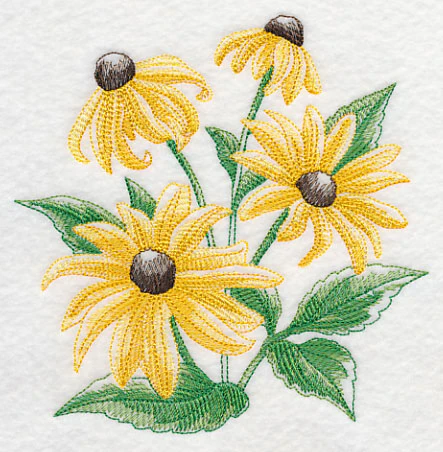 Black-Eyed Susan Sketch - Image 3