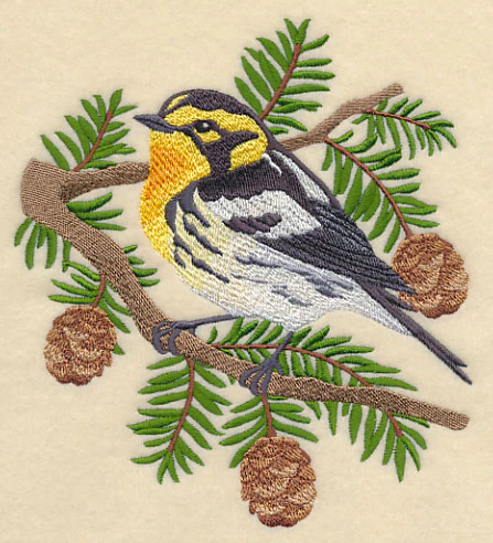 Blackburnian Warbler - Image 2