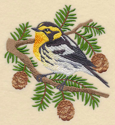 Blackburnian Warbler - Image 3