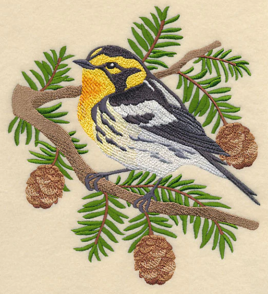 Blackburnian Warbler - Image 4