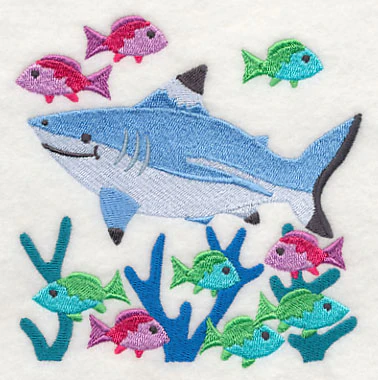Blacktip Reef Shark and Reef Fish - Image 4