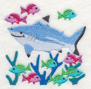 Blacktip Reef Shark and Reef Fish - Image 5