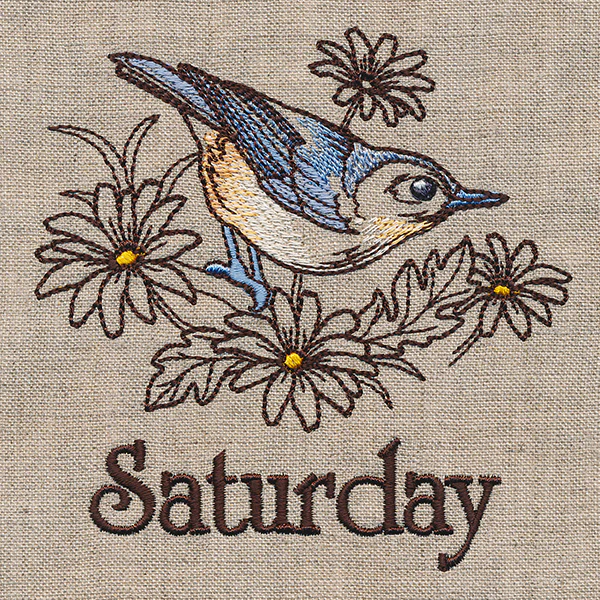 Blessed Saturday - Nuthatch and Chicory - Image 2