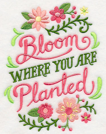 Bloom Where You Are Planted - Image 3