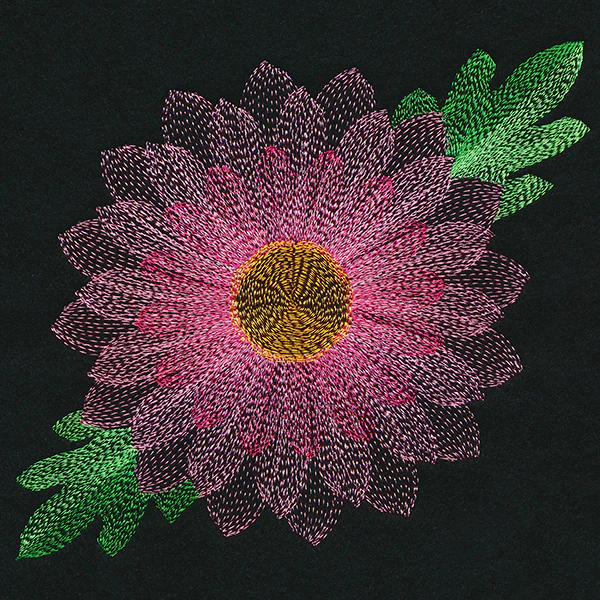 Blooming Garden Chrysanthemum - Image 2