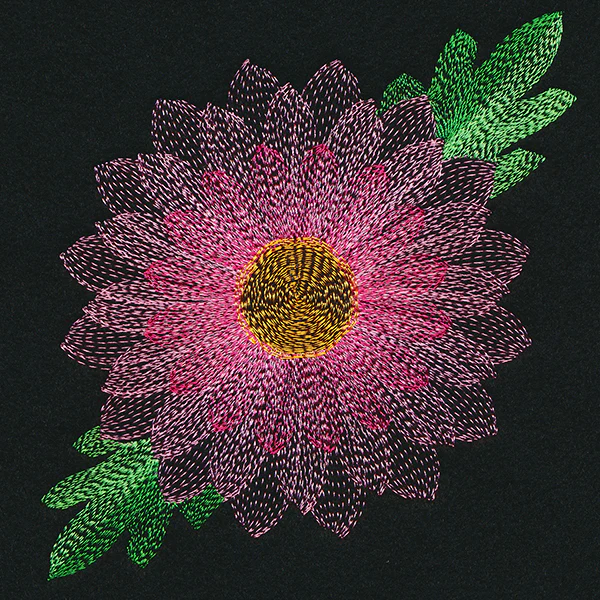 Blooming Garden Chrysanthemum - Image 3