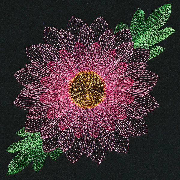 Blooming Garden Chrysanthemum - Image 4