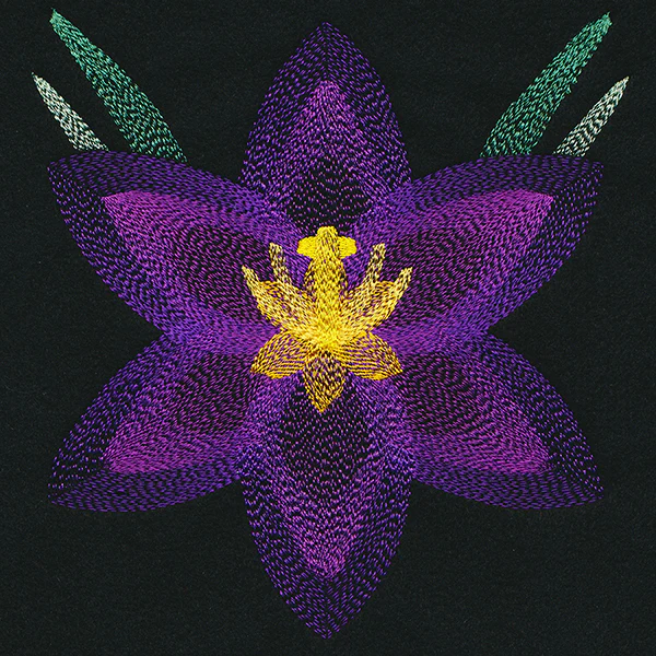 Blooming Garden Crocus - Image 2