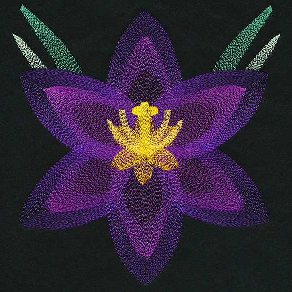 Blooming Garden Crocus - Image 6