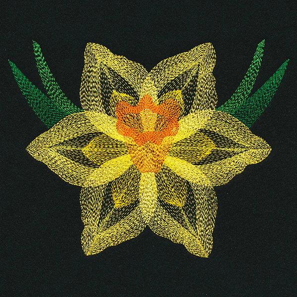 Blooming Garden Daffodil - Image 2