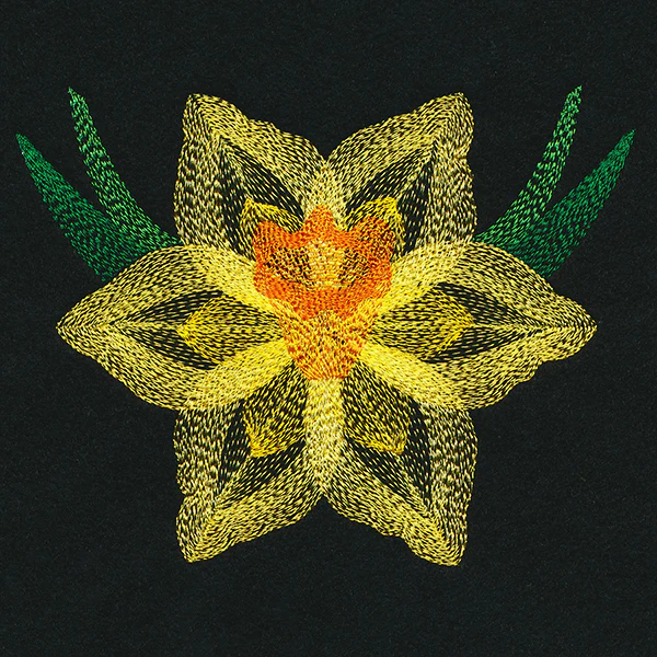 Blooming Garden Daffodil - Image 3