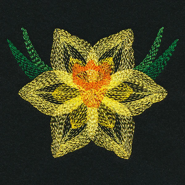 Blooming Garden Daffodil - Image 5