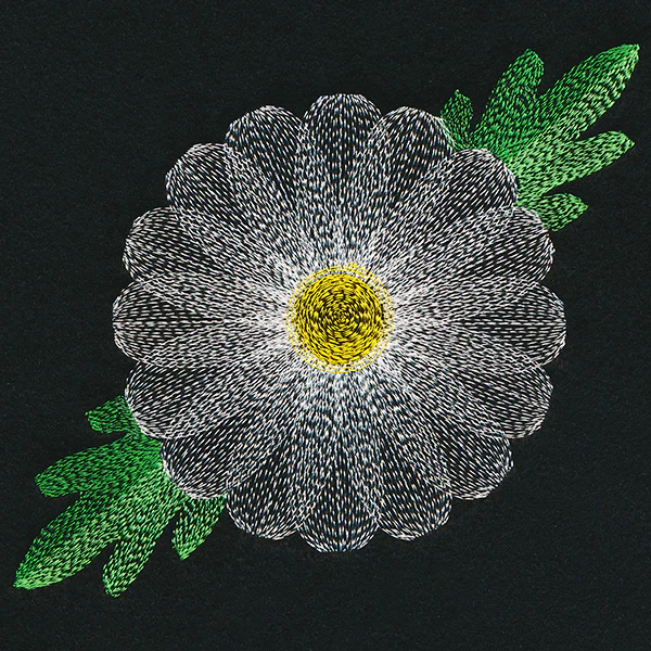 Blooming Garden Daisy - Image 3
