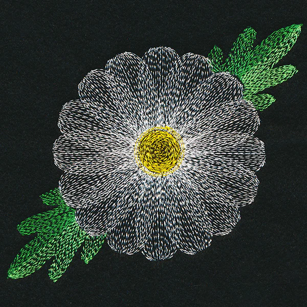 Blooming Garden Daisy - Image 4