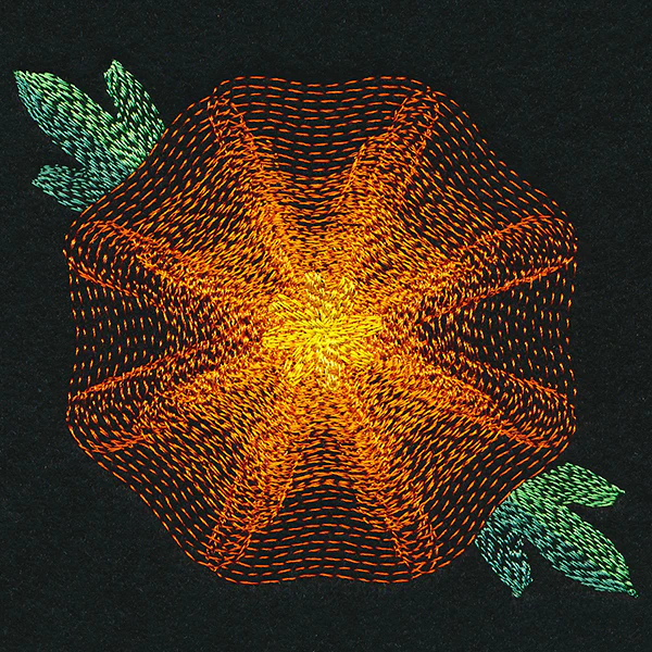 Blooming Garden Marigold - Image 5
