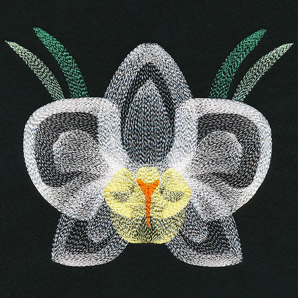 Blooming Garden Orchid - Image 2