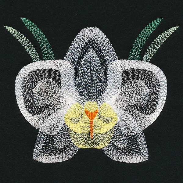 Blooming Garden Orchid - Image 3