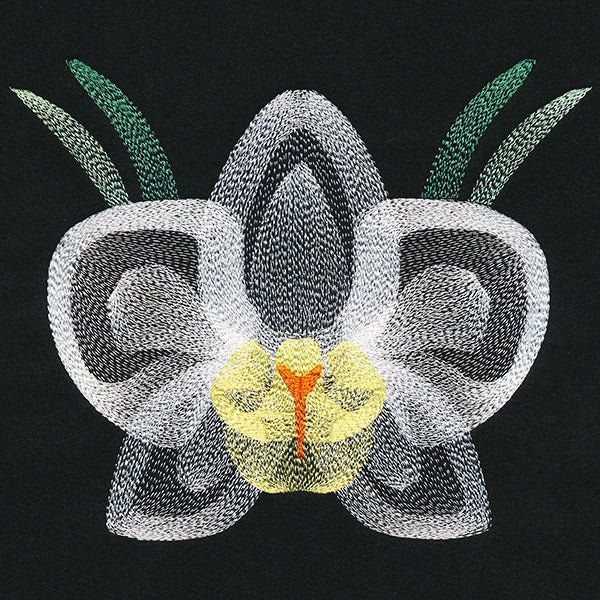 Blooming Garden Orchid - Image 6